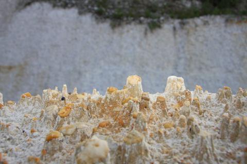 Bolus alba spag. Glückselig Dil. D3 
